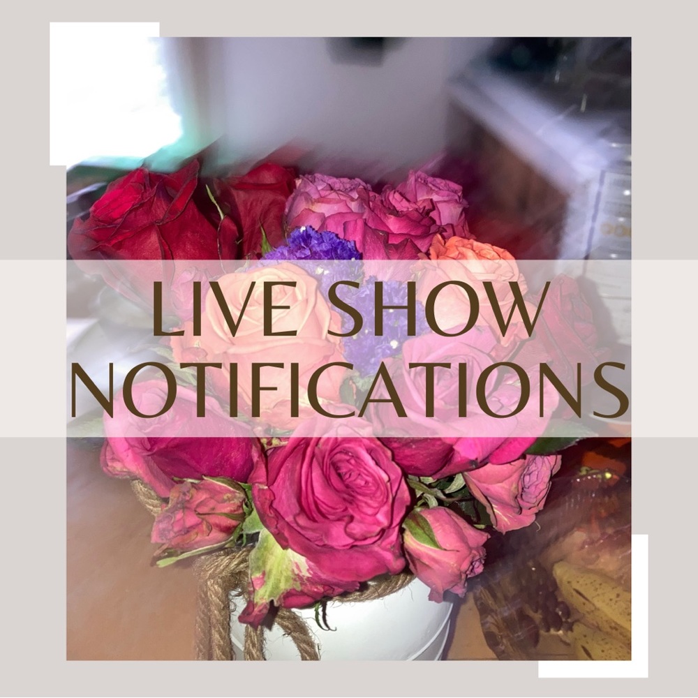 @kiwi_monet Is Live!